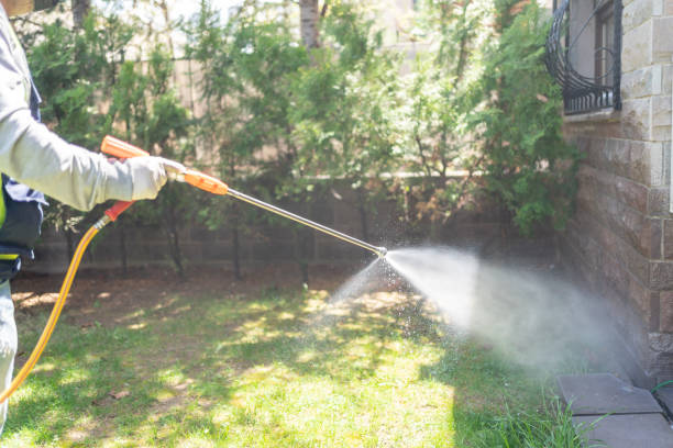 Best Lawn Pest Control  in Plano, IL